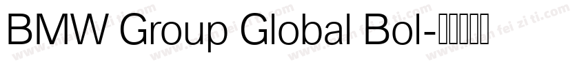 BMW Group Global Bol字体转换